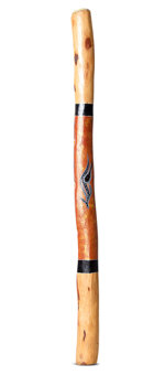 Small John Rotumah Didgeridoo (JW1291)